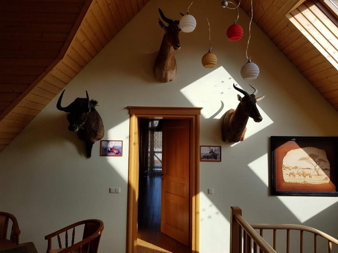 דרוסקינינקאי Apartamentai Hunter House מראה חיצוני תמונה