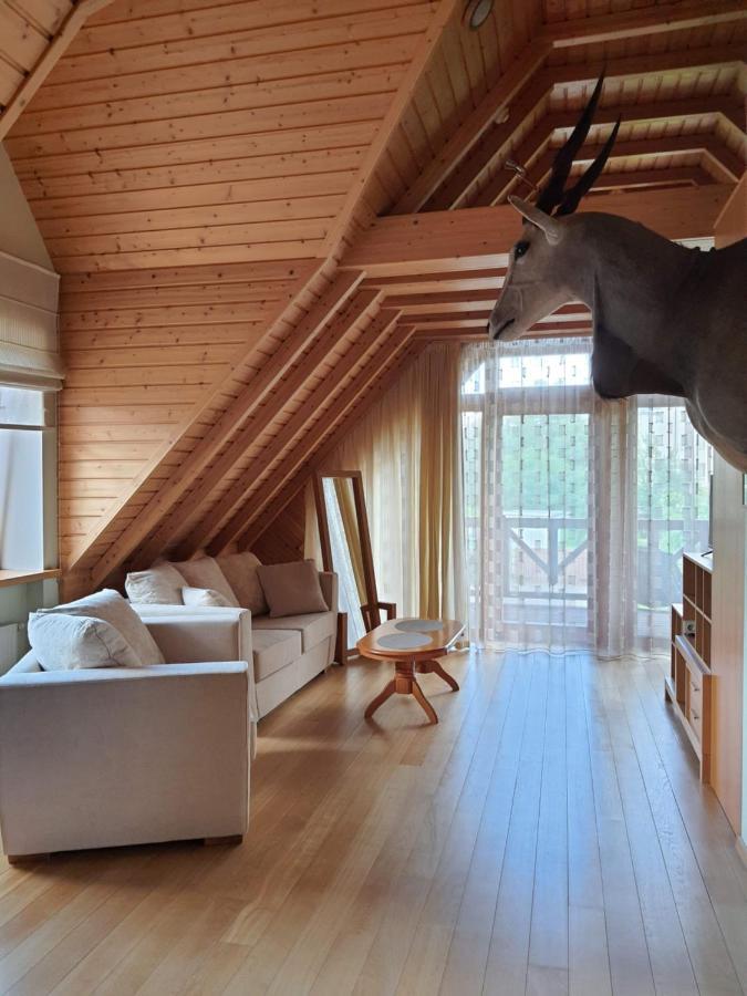 דרוסקינינקאי Apartamentai Hunter House מראה חיצוני תמונה