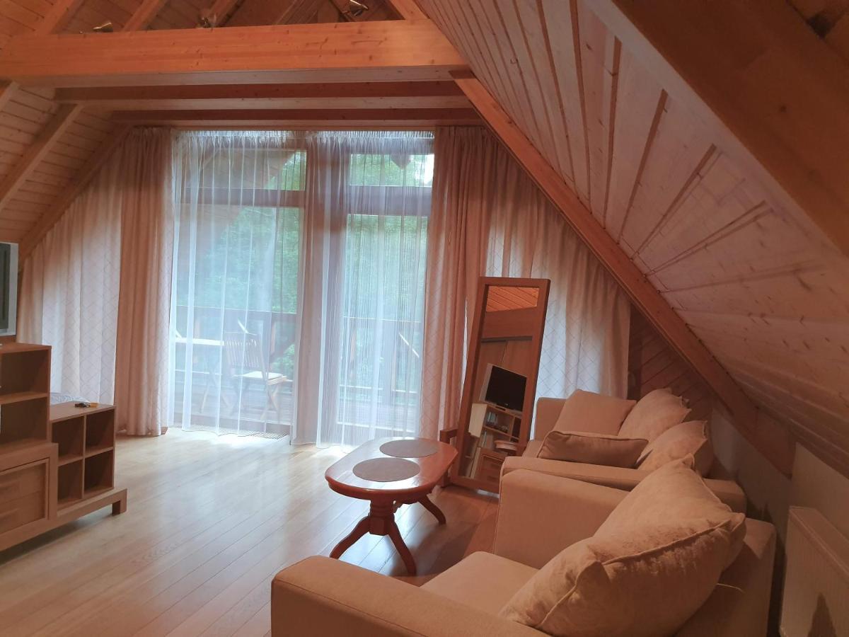 דרוסקינינקאי Apartamentai Hunter House מראה חיצוני תמונה