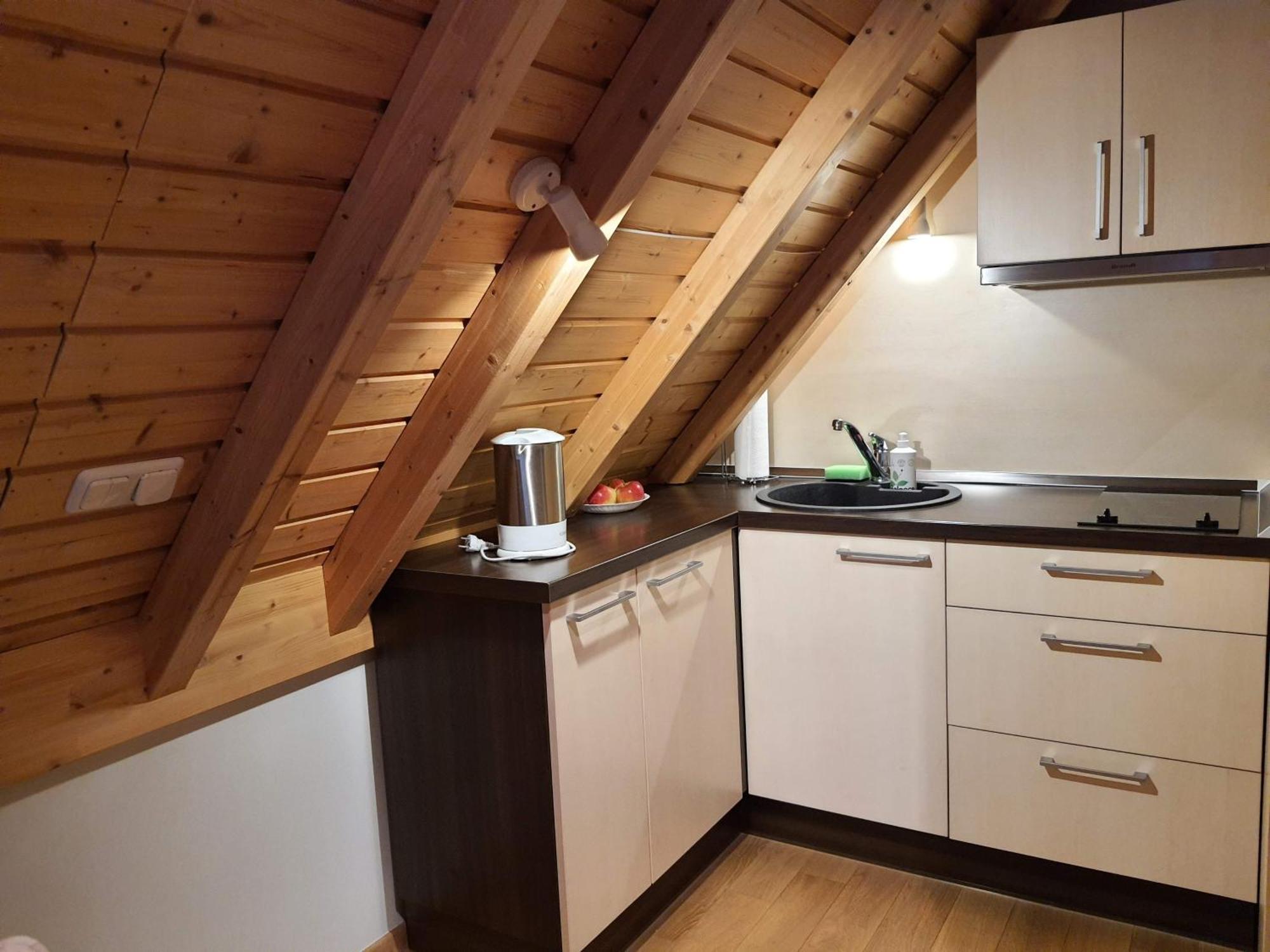 דרוסקינינקאי Apartamentai Hunter House חדר תמונה